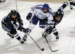 ng娱乐官网-锋线双星联袂闪耀 雷霆一击定乾坤