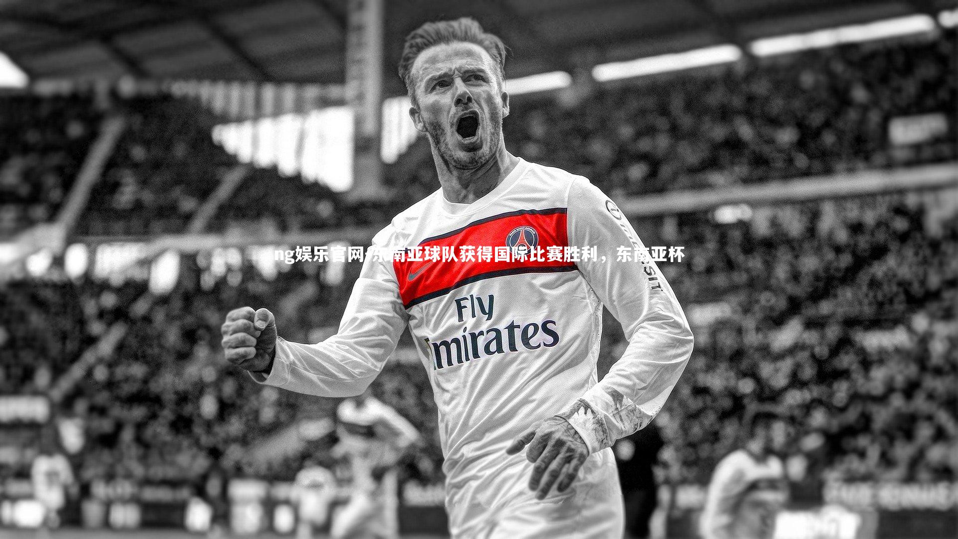 东南亚球队获得国际比赛胜利,东南亚杯