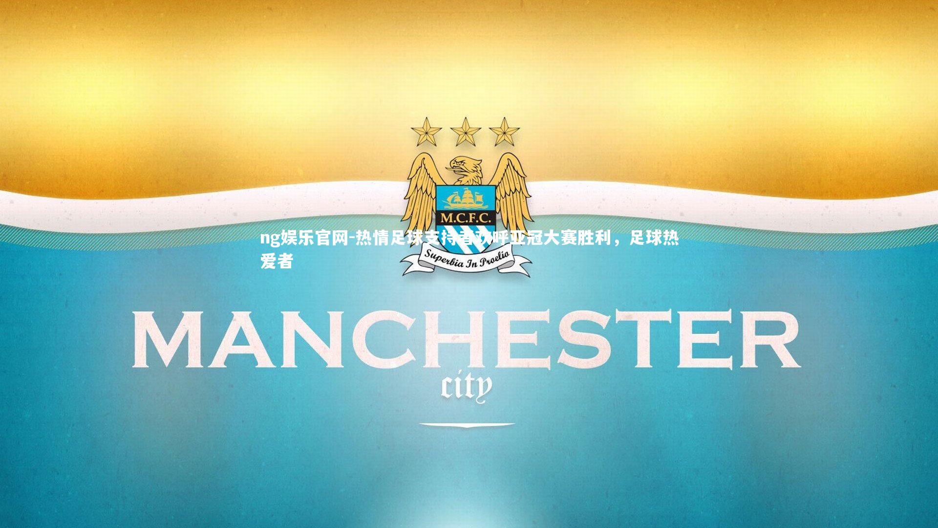 热情足球支持者欢呼亚冠大赛胜利，足球热爱者